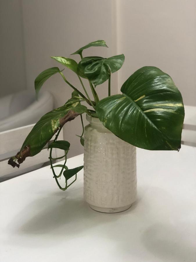סנטה פה Apart Sur Departamento מראה חיצוני תמונה